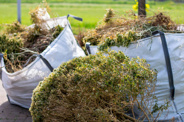 Best Trash Removal Near Me  in California, PA